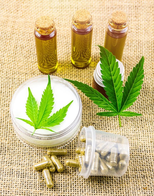 Les incroyables pouvoirs guérisseurs des plantes : une plongée dans le monde des remèdes naturels